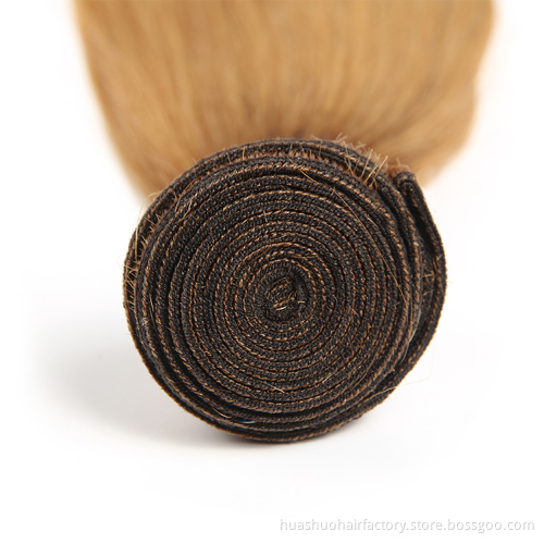 T1B/27 Ombre Color Double Drawn Cuticle Aligned Raw  Virgin Brazilian Hair Styles